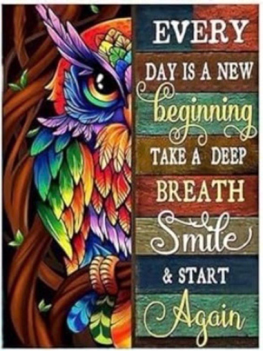 Owl Inspirational Quote Diamond Painting Kit 30x40cm Colorful DIY Wall Art